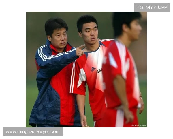 杭州排球队逆袭世界杯的荣耀之路与奋斗精神的完美结合